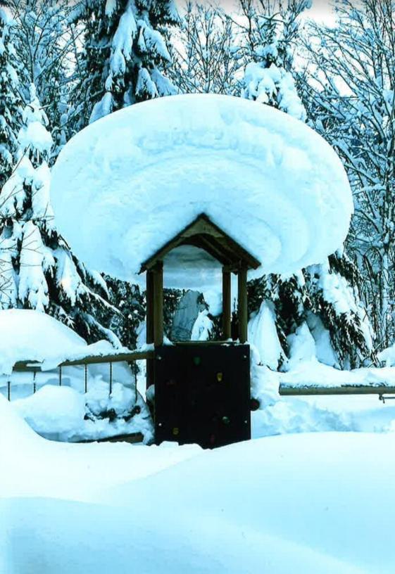 Merryshof Sankt Ulrich am Pillersee Luaran gambar